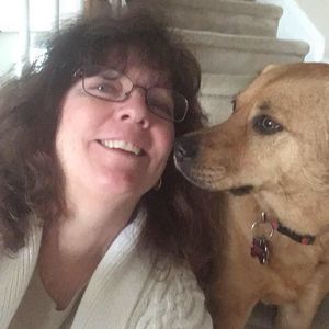 Meet your Posher, Sue